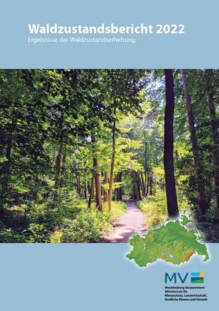 Waldzustandsbericht 2022