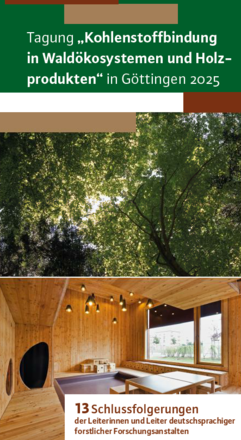 Schlussfolgerungen zum Klimaschutz durch Wälder und Holznutzung