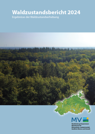 Waldzustandsbericht 2024