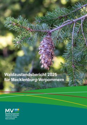 Waldzustandsbericht 2025