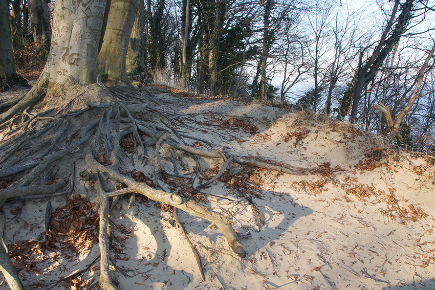 Naturschutzgebiet Streckelsberg auf der Insel Usedom