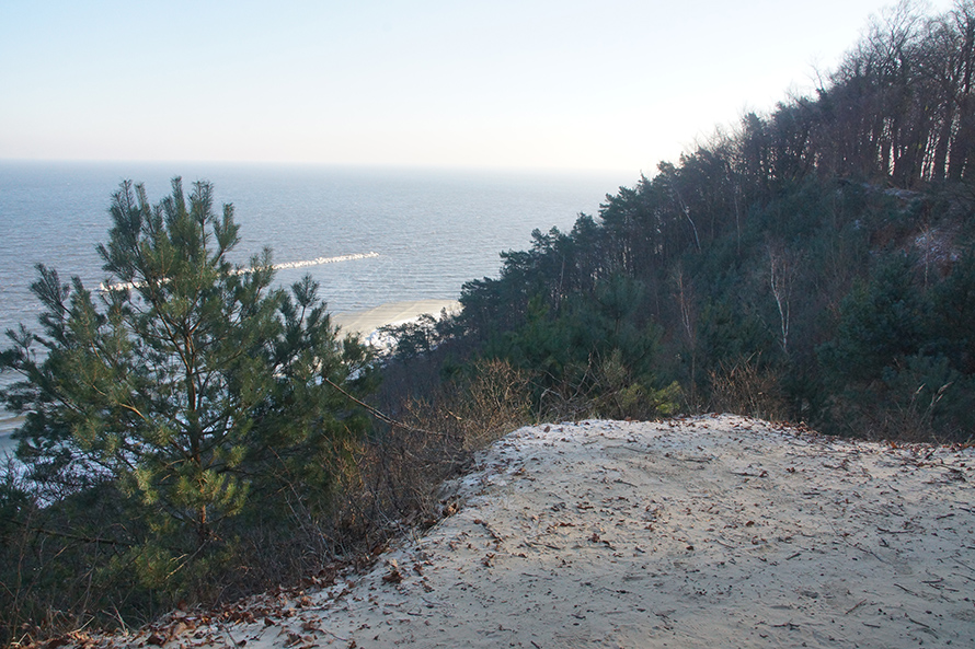 Naturschutzgebiet Streckelsberg auf der Insel Usedom