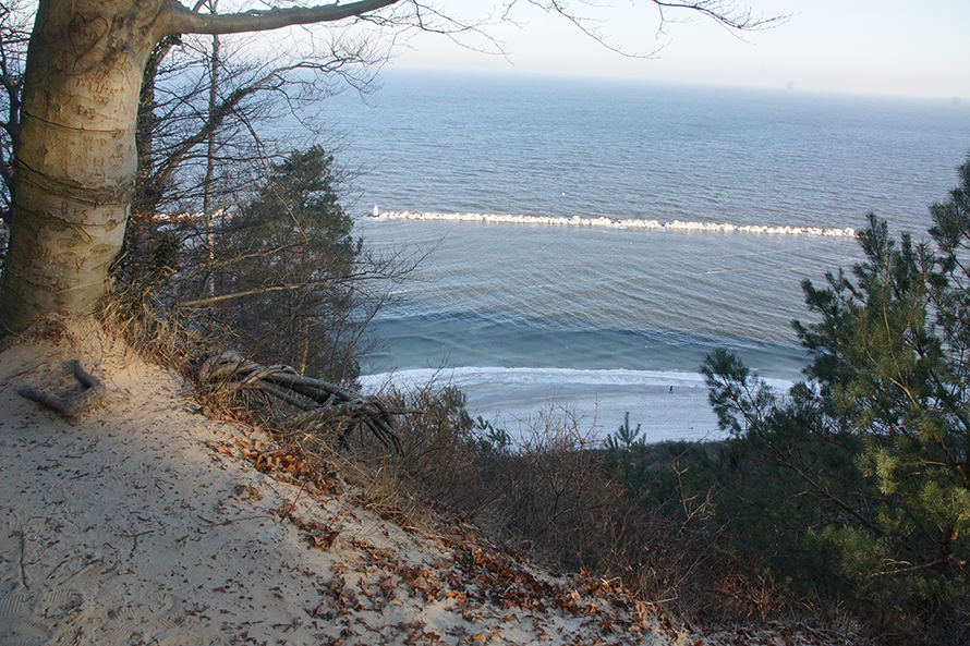 Naturschutzgebiet Streckelsberg auf der Insel Usedom