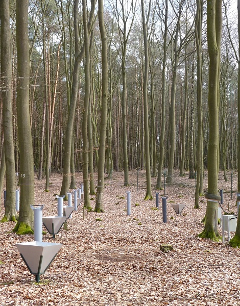 Trichterförmige Messinstrumente auf dem Waldboden