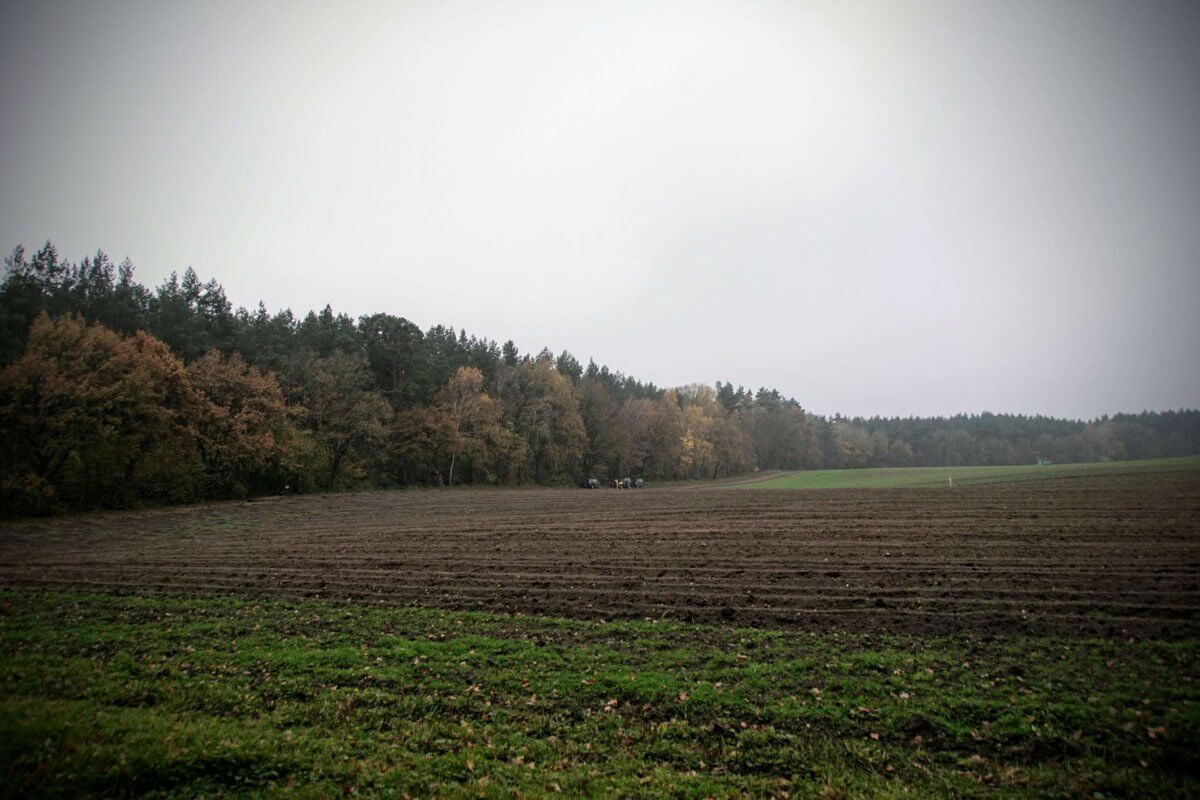 Erstaufforstungen