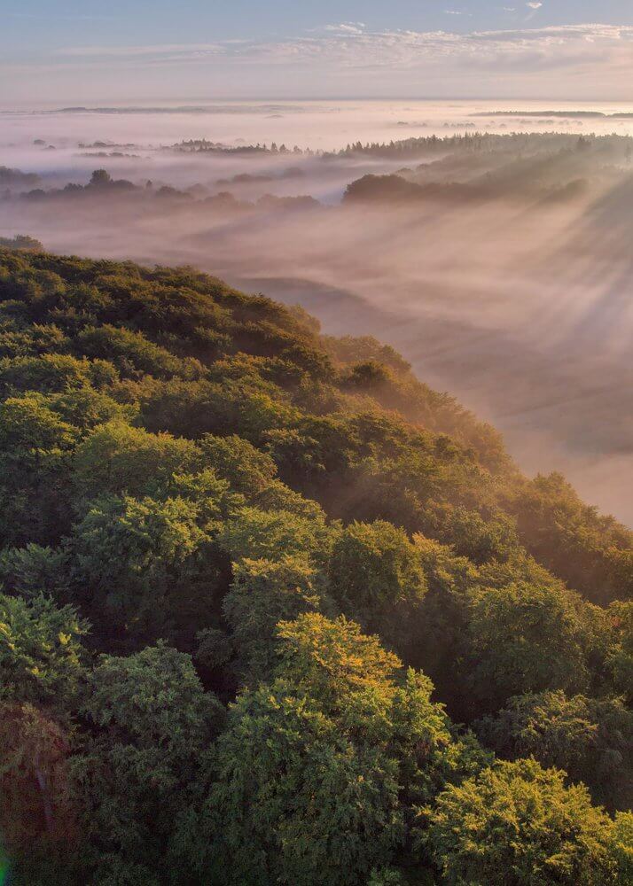 Untersuchungen zum Waldwachstum