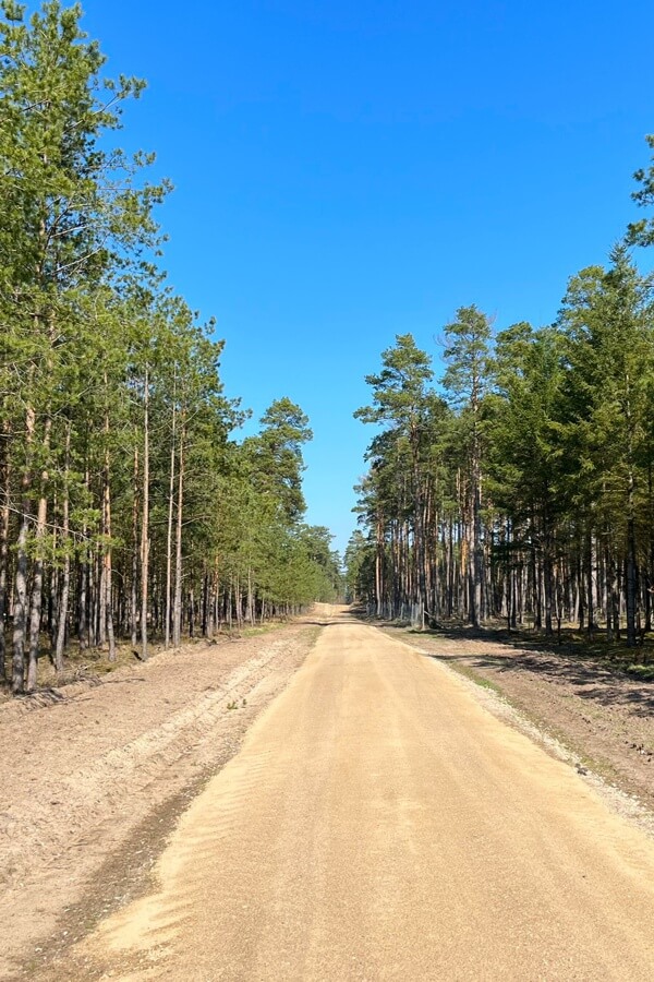 Waldbrandriegel_Wundstreifen