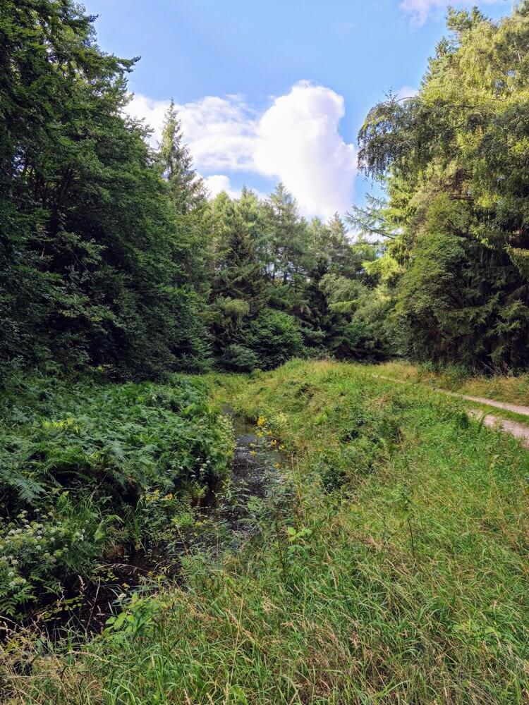 foa-billenhagen
