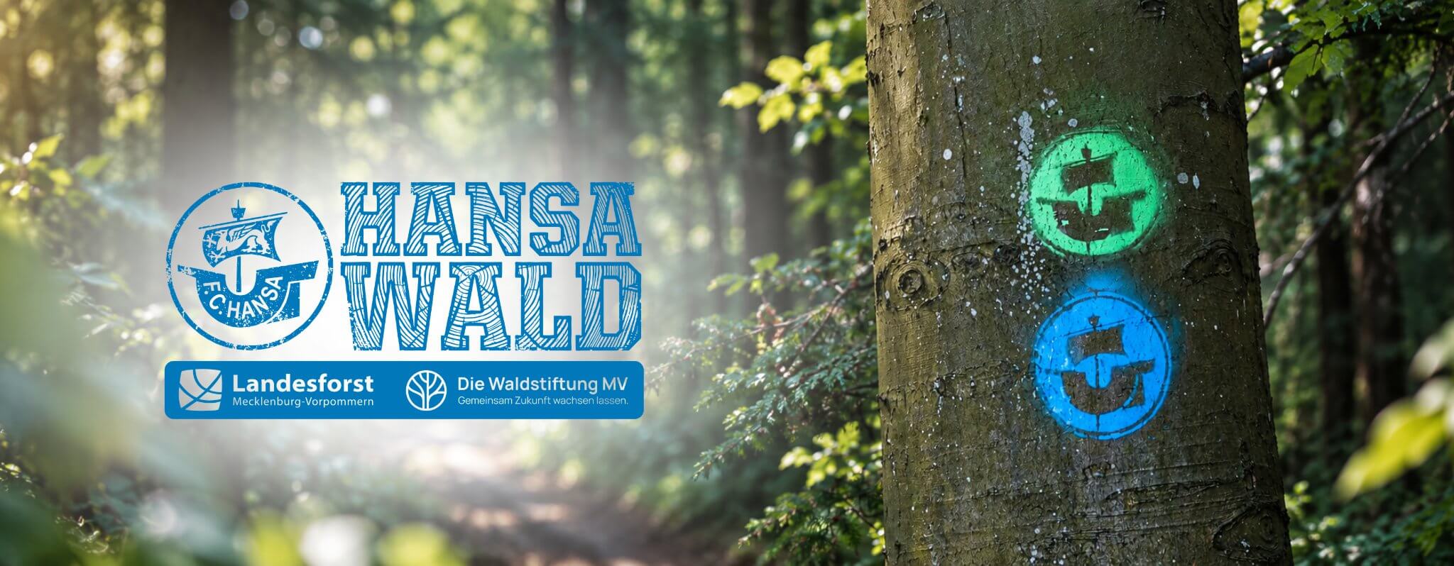 hansa-wald-banner