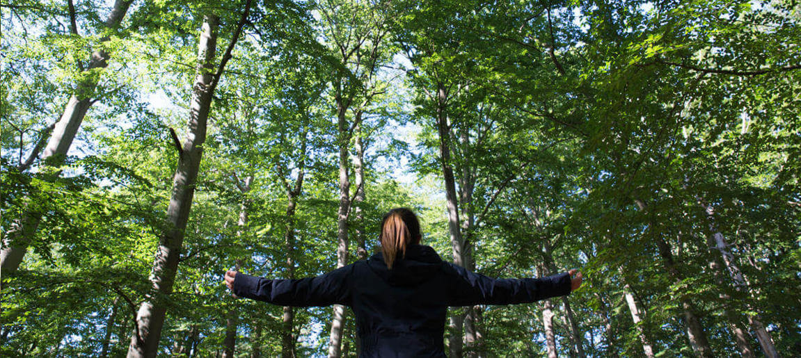 Frau breitet Arme im Wald aus