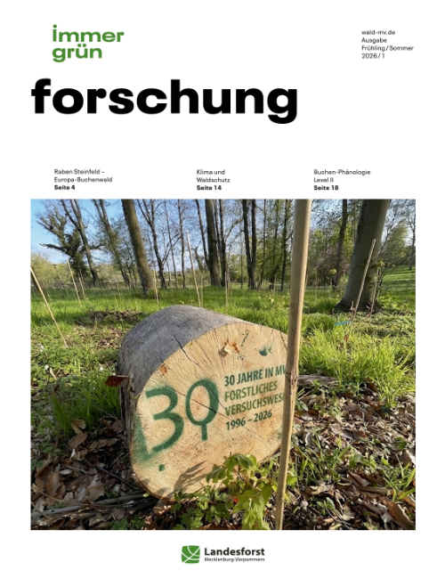 Immergrün - forschung 1-2025