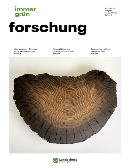 ig-forschung-2_2025