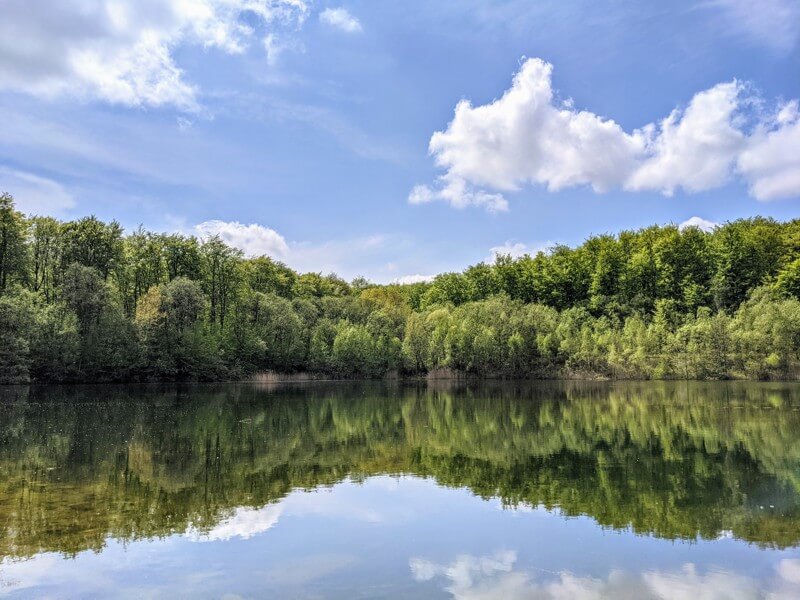 wald und see