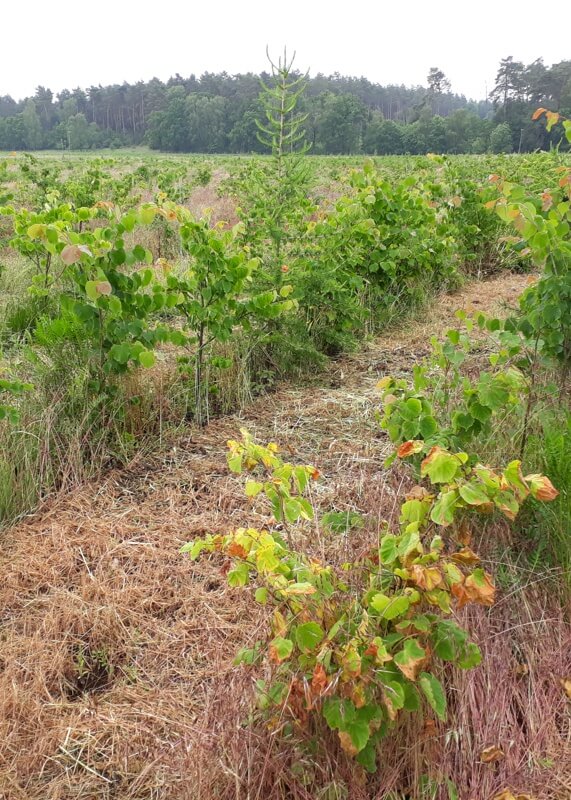 teaser-kompensationspool