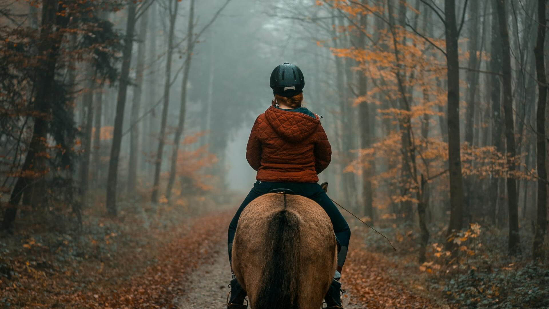 header-reiten-im-wald