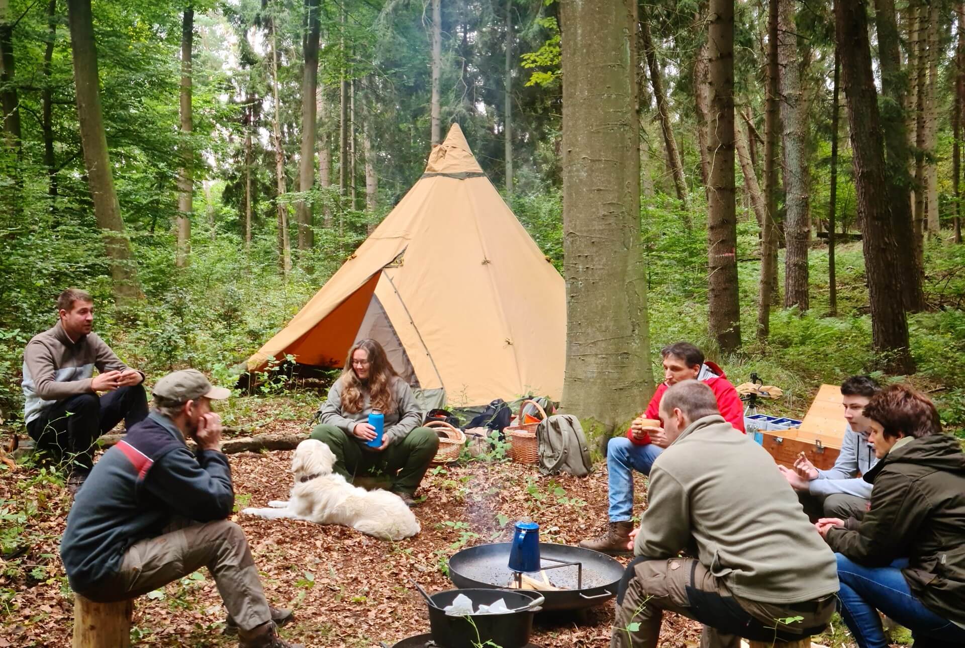 WaldTeam
