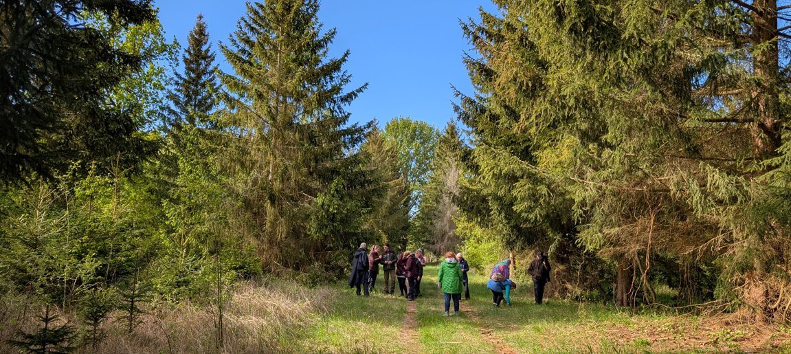 Waldtherapie-mv Waldtherapie-mv
