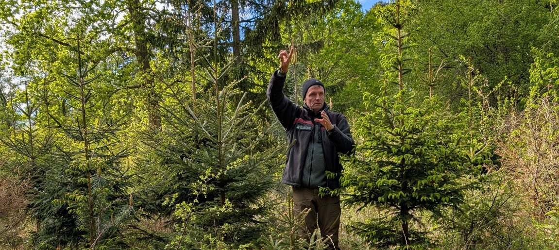 Waldtherapie-mv Waldtherapie-mv
