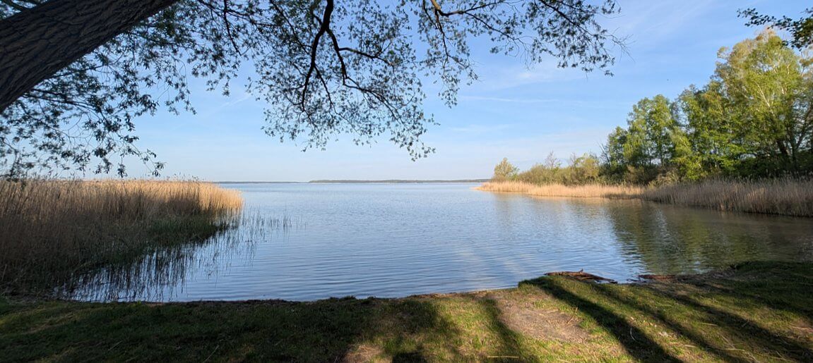Waldtherapie-mv Waldtherapie-mv