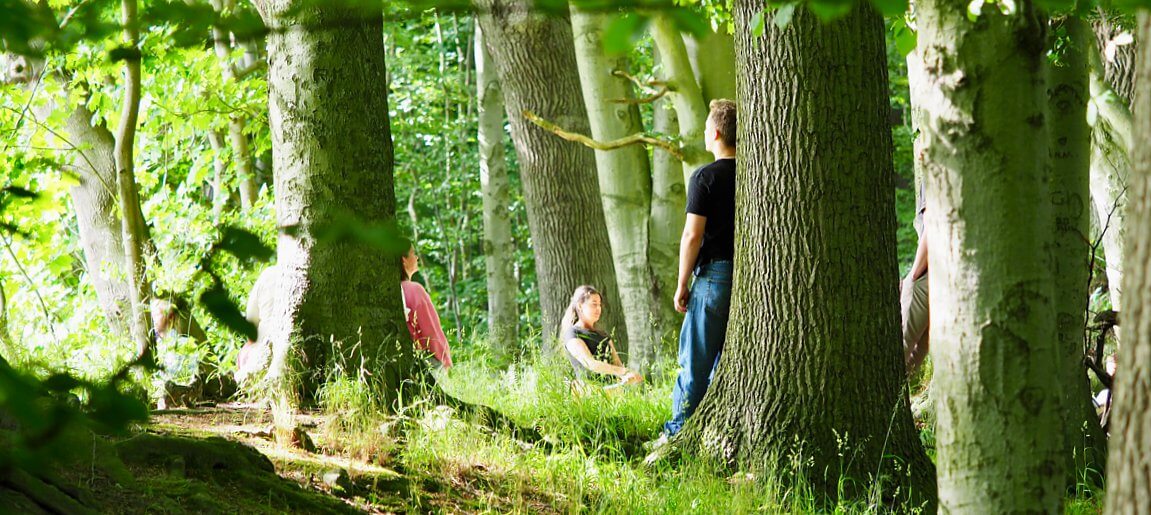 Waldtherapie-mv Waldtherapie-mv