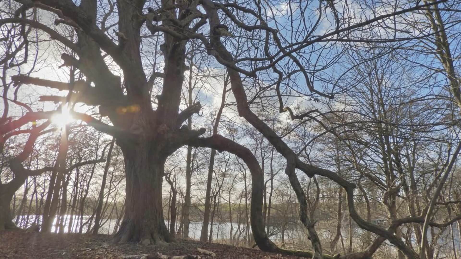 Teaser-karstorfer-see