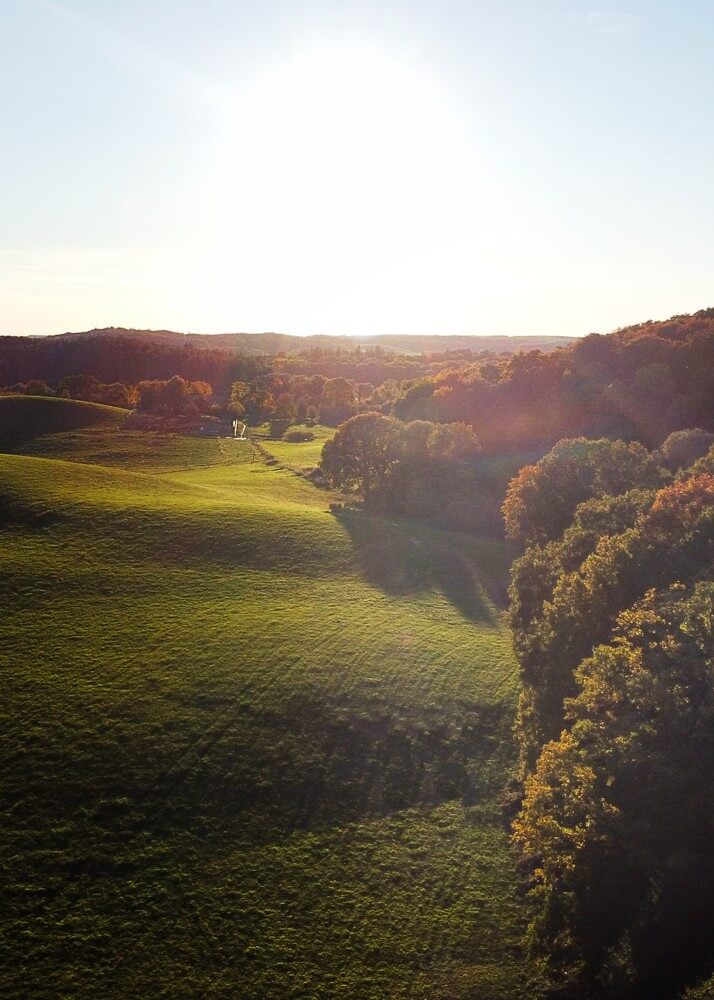 wald-in-zahlen