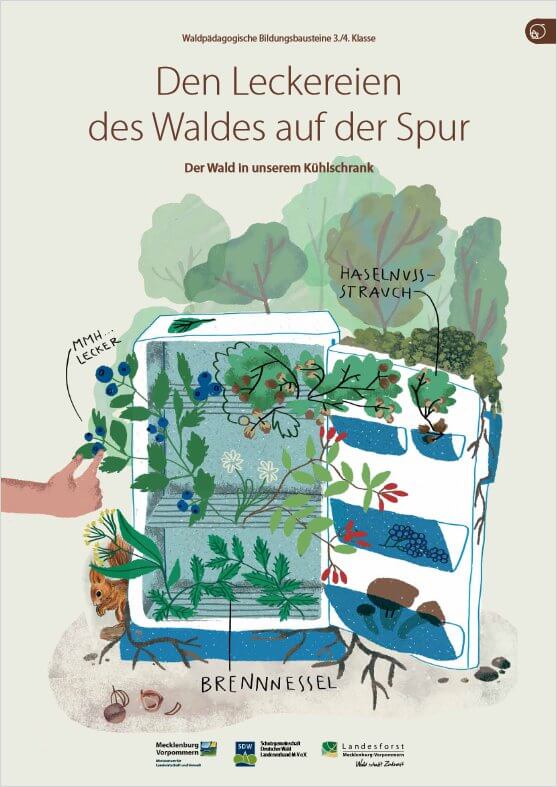 Leckereien des Waldes auf der Spur