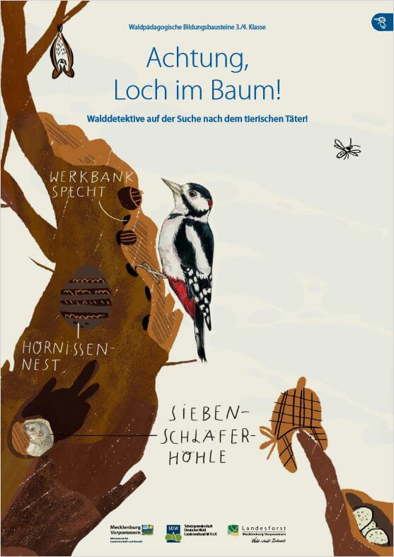 8-Loch im Baum