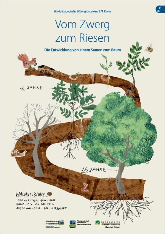 Vom Zwerg zum Riesen