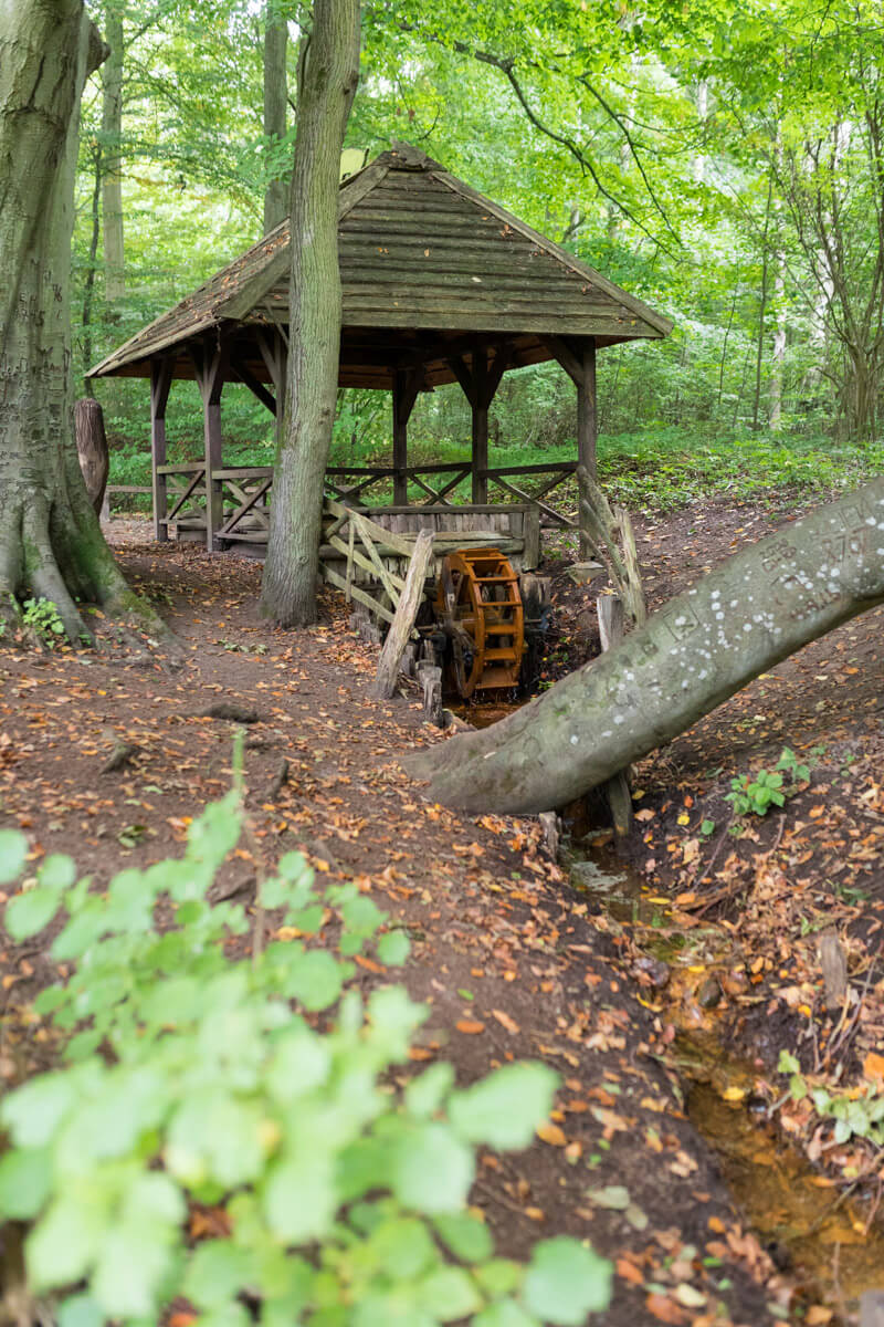 maerchenwaldhaus-rothemuehl