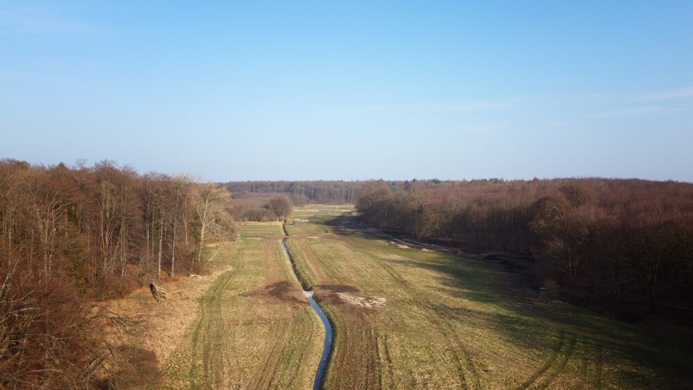 moor-luettwisch moor-luettwisch