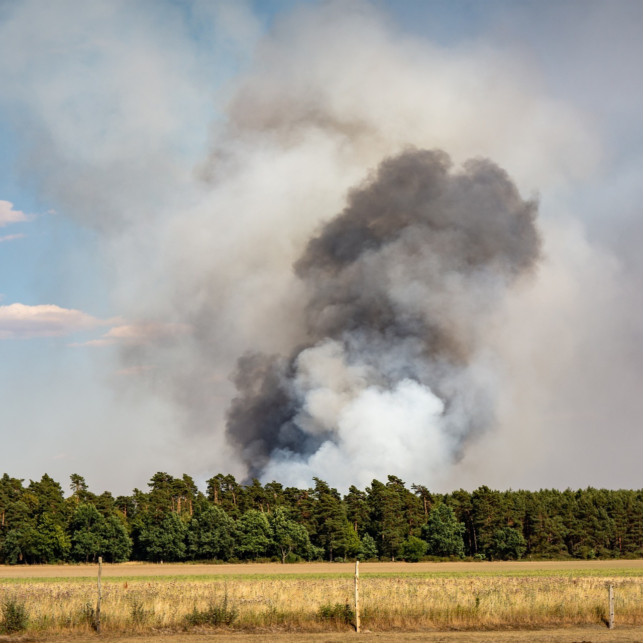 Waldbrand Waldbrand